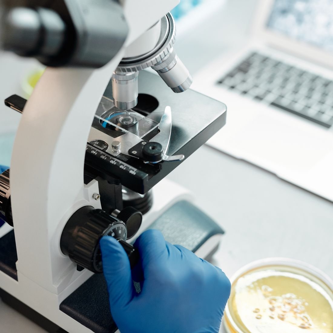 FIV ou ICSI : quelle différence ? — El Mawloud Fertility Center, Oran