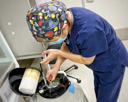 Préservation de la fertilité